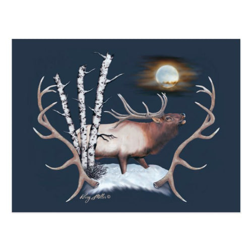 Bull Elk - Postcard