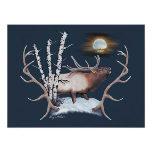 Bull Elk - Poster