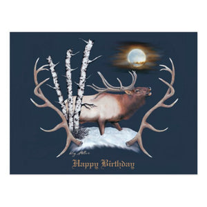 Bull Elk - Postcard