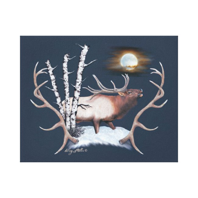 Bull Elk - Canvas Print